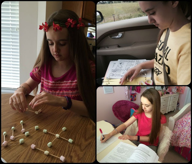 Unexpected Homeschool: Year Round Homeschooling