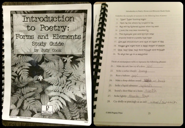 Unexpected Homeschool: Introduction to Poetry from Progeny Press. High school poetry made easy and interesting!